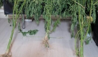 UYUŞTURUCU OPERASYONUNDA 11 TUTUKLAMA