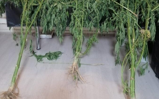 UYUŞTURUCU OPERASYONUNDA 11 TUTUKLAMA