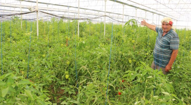 KONTROLLÜ TARIM METODUYLA ÜRETİM