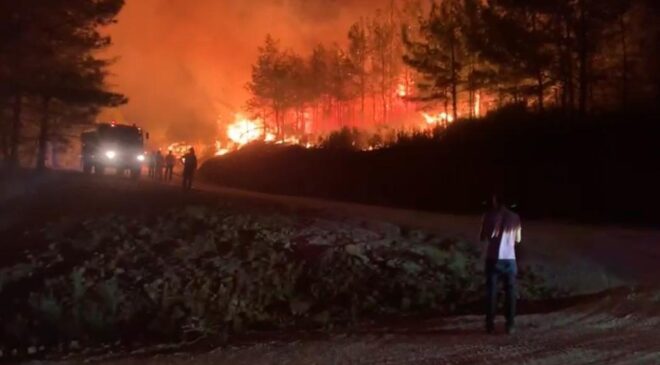Bakan Kirişci; “Marmaris’teki yangında 500 hektar alan zarar gördü”