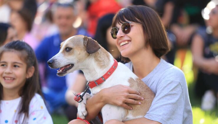En güzel patiler Pamukkale’de belirlendi