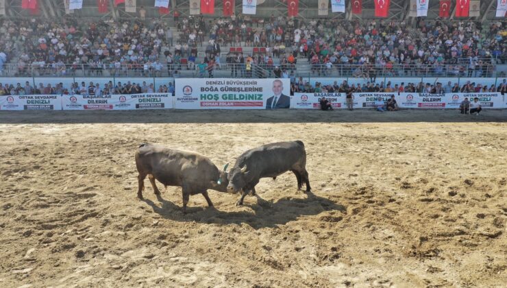 BOĞA GÜREŞLERİNDE KUPA SAHİBİNİ BULDU