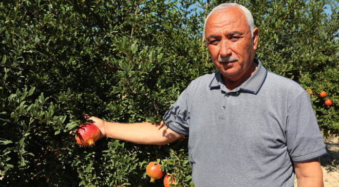 BÜYÜKŞEHİR ÇİFTÇİNİN, ÜRETİCİNİN YANINDA