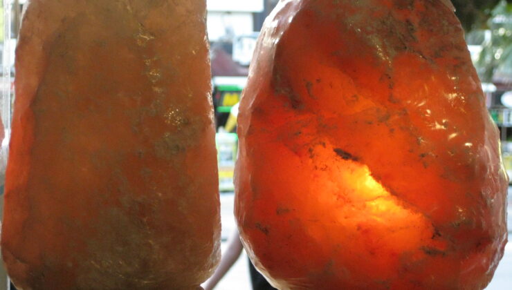 TUZ LAMBASININ FAYDALARI