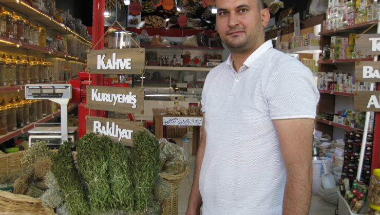 ANDIZ OTUNA YOĞUN TALEP