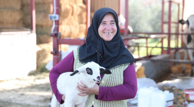MERKEZEFENDİ’DEN KÜÇÜKBAŞ HAYVAN DESTEĞİ  