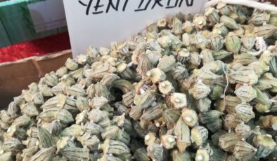 KURU BAMYA FİYATLARI DUDAK UÇUKLATIYOR