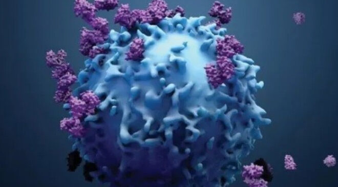 GÜÇLÜ BİR BAĞIŞIKLIK SİSTEMİ, KANSERİ DURDURABİLİR Mİ?