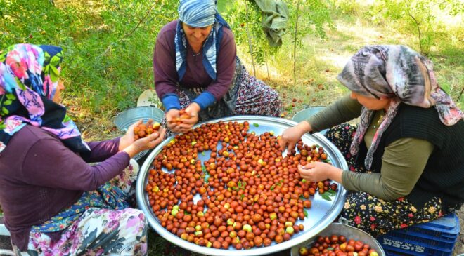 HÜNNAP YÜZ GÜLDÜRÜYOR
