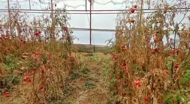 3. KEZ GÖZALTINA ALINAN ŞÜPHELİ TUTUKLANDI