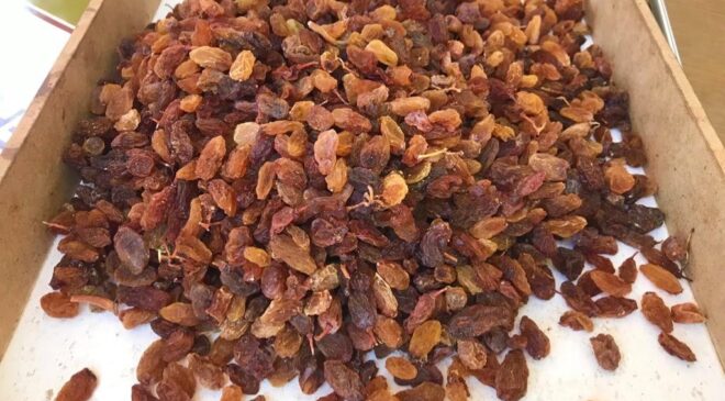 ÜZÜMCÜNÜN YÜZÜ GÜLÜYOR