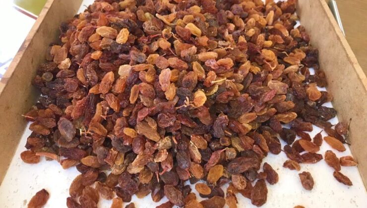 ÜZÜMCÜNÜN YÜZÜ GÜLÜYOR