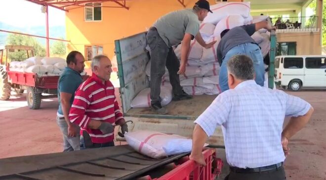 Bereketli bir sezon geçiren üzümcünün yüzü gülüyor