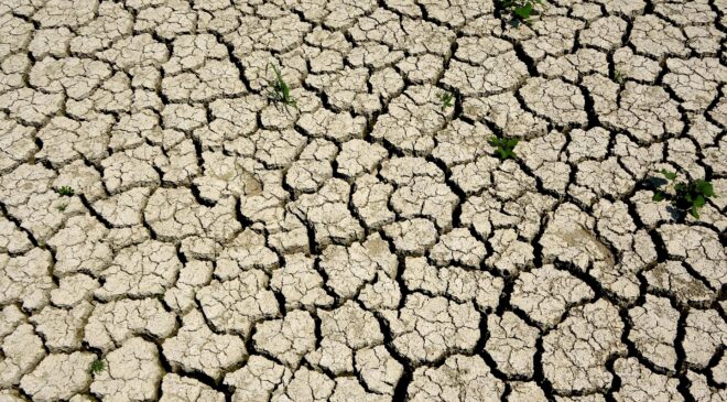 Ege, son 20 yılın en kurak sezonunu yaşıyor