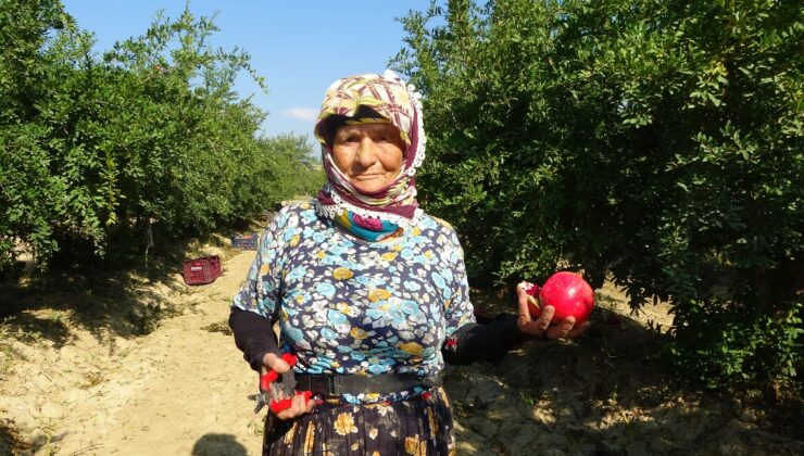 ZEHRA TEYZE, GENÇLERE TAŞ ÇIKARTIYOR