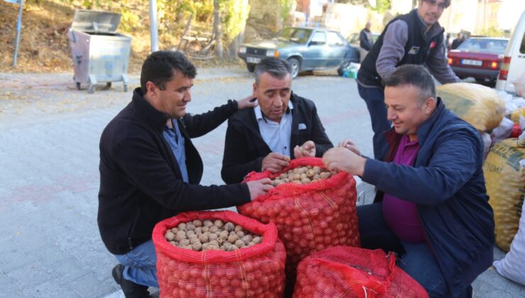 Kabuğuna sığmayan lezzete yoğun talep