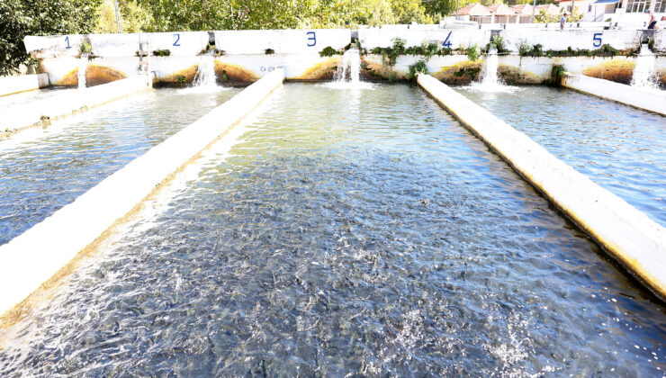 BÜYÜKŞEHİR’DEN BÜYÜK DESTEK