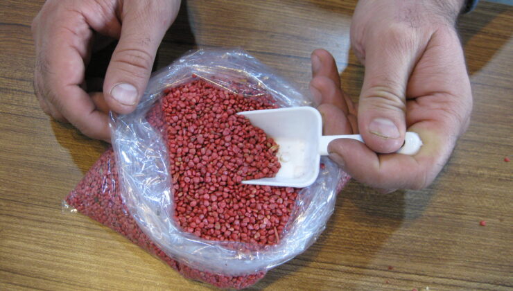 TOHUMLAR TOPRAKLA BULUŞUYOR