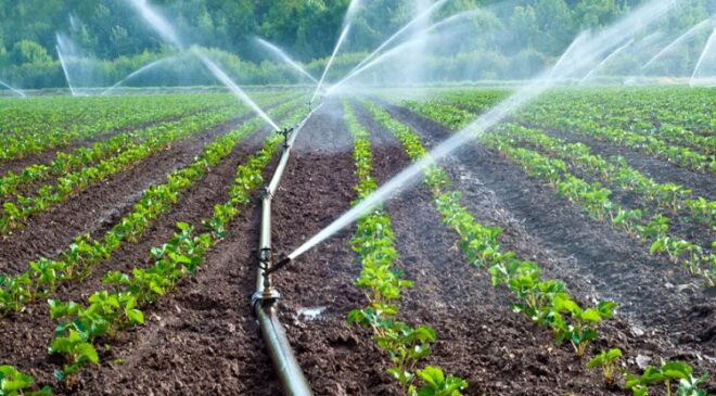 <strong>Denizli de Yatırımcılara Bireysel Sulama Sistemleri Desteği</strong>