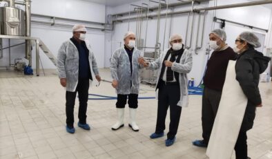 DÜNYAYA AÇILMAYI PLANLIYOR