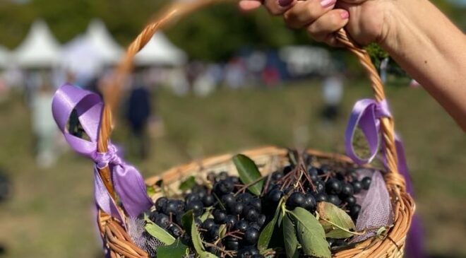 ARONYA ÜRETİMİ ARTIYOR