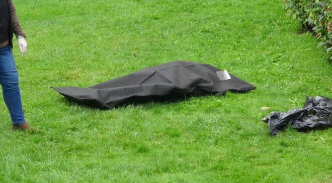  YAŞLI ADAM PARKTA ÖLÜ BULUNDU