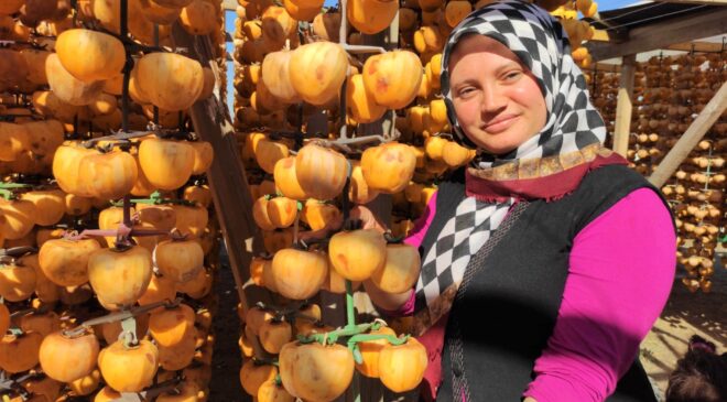 KURUSU YAŞINDAN 10 KAT DAHA PAHALI