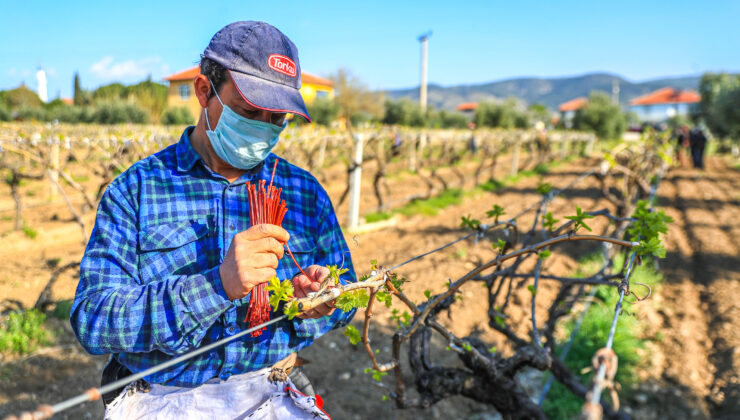 BAŞKAN ZOLAN: “ÜRETİM SİZDEN, DESTEK BİZDEN”