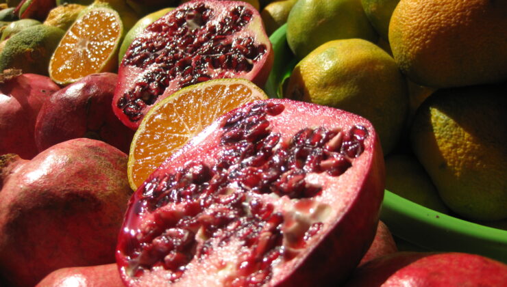 MEYVE SULARI ŞİFA DAĞITIYOR