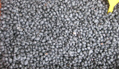 YABAN MERSİNİNE TALEP ARTTI