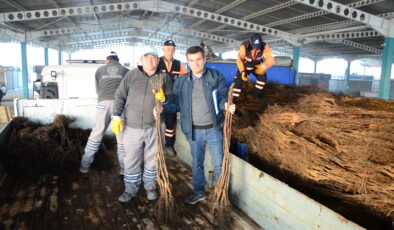 BİRİNCİLİK PROJESİ DEVAM EDİYOR