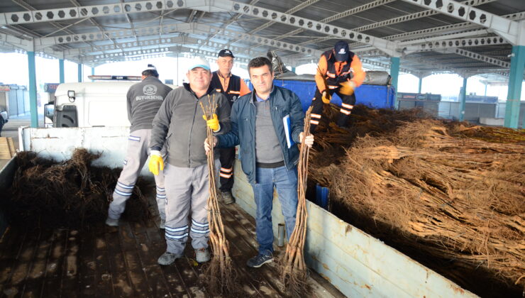 BİRİNCİLİK PROJESİ DEVAM EDİYOR