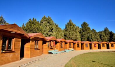 MEYVE KASASIYLA BAŞLAYAN SERÜVEN