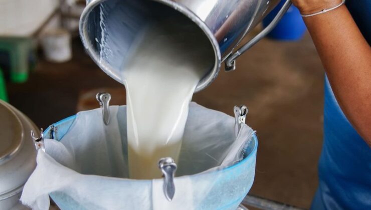 SÜT ARZI TALEBE YETMİYOR