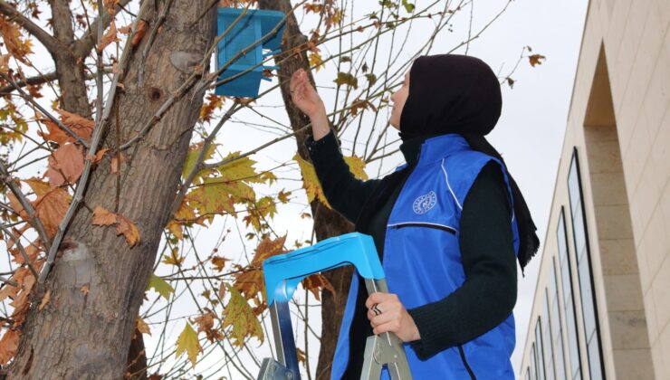 GÖNÜLLÜ GENÇLER KUŞLAR İÇİN YUVA YAPTI