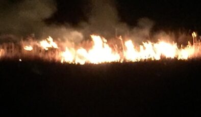 SAZLIKLAR ALEVLERE TESLİM OLDU