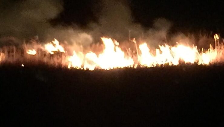 SAZLIKLAR ALEVLERE TESLİM OLDU