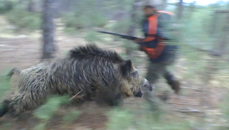 DOMUZ SALDIRISINA UĞRAYAN AVCI ÖLÜMDEN DÖNDÜ