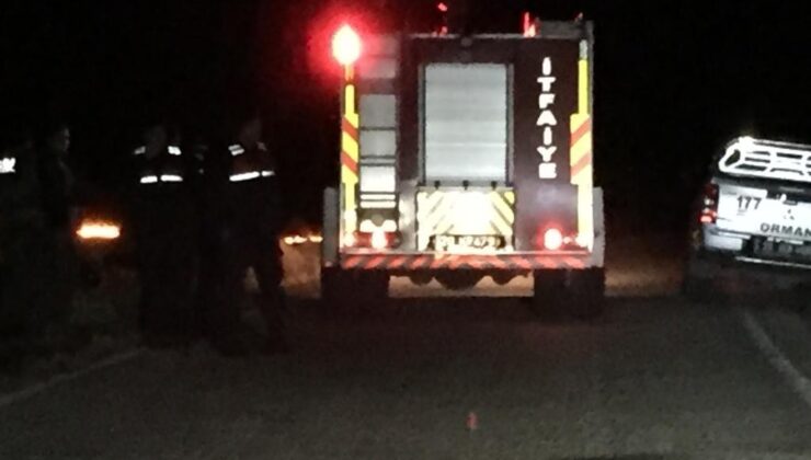 50 DEKAR ALAN KÜLE DÖNDÜ