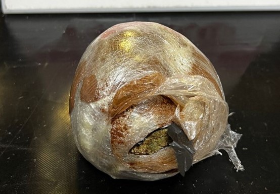 Uyuşturucu operasyonunda 2 tutuklama