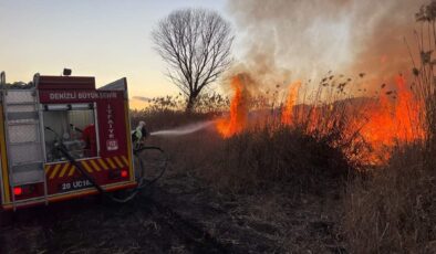 SAZLIKLAR ALEV ALEV YANDI