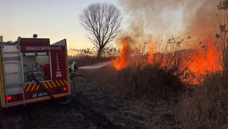 SAZLIKLAR ALEV ALEV YANDI
