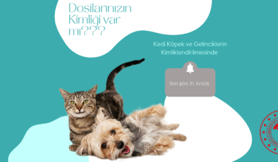 KİMLİKLENDİRMEYENE 3 BİN 642