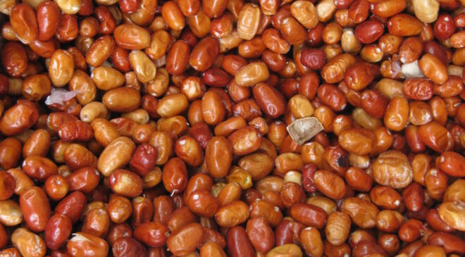 MUCİZEVİ MEYVE ‘İĞDE’