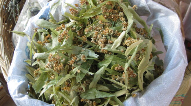 SALGIN SATIŞLARI ARTIRDI