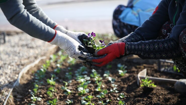 MERKEZEFENDİ RENKLENİYOR