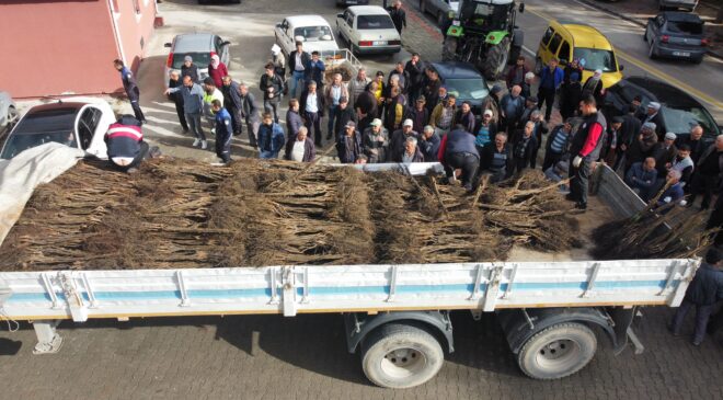 DTB’NİN CEVİZ FİDANI SEFERBERLİĞİ DEVAM EDİYOR