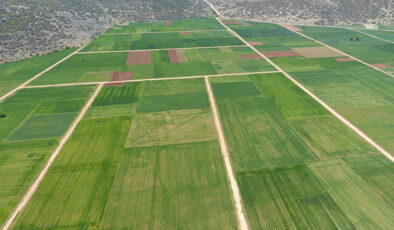 3 İLÇEDE ARAZİ TOPLULAŞTIRMA KARARI