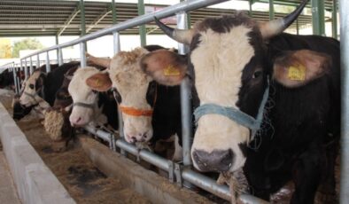 HAYVANCILIK SEKTÖRÜNÜN GELECEĞİ İÇİN İMZALAR ATILDI