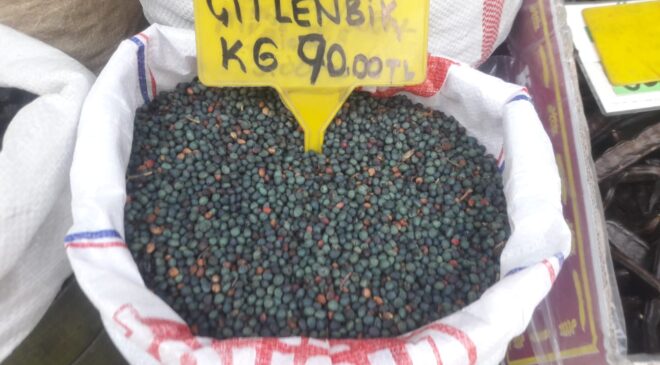 ÇİTLEMBİK MEYVESİ ŞİFA DAĞITIYOR